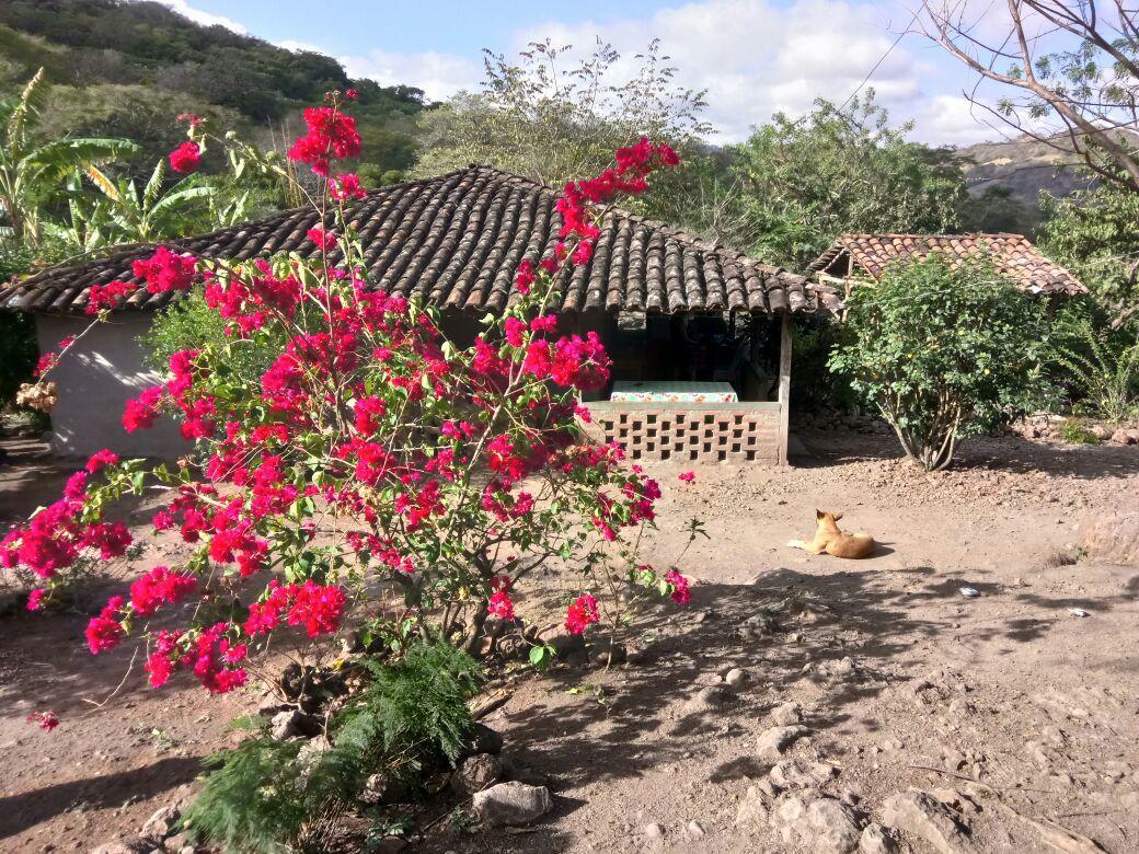 La Ceibita Tours Pension Los Potrerillos Buitenkant foto